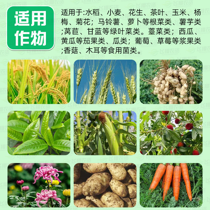 国光黄叶必治氨基酸微量元素铁锌硼肥小叶黄叶缺素叶绿素叶面肥,淘宝优惠券,粉丝福利购,淘宝优惠卷