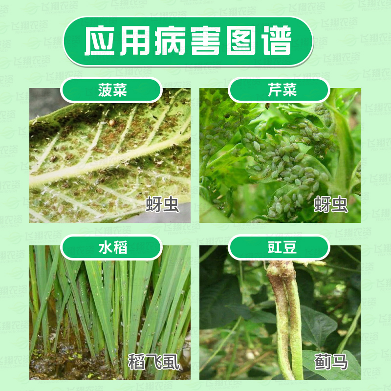 冠龙锋格 噻虫嗪月季水稻小麦蚜虫稻飞虱蓟马噻虫螓农药杀虫剂10g - 图0