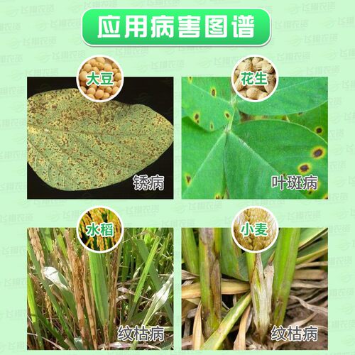 先正达爱苗苯醚甲环唑丙环唑水稻纹枯病叶斑病锈病农药杀菌剂10ml - 图0