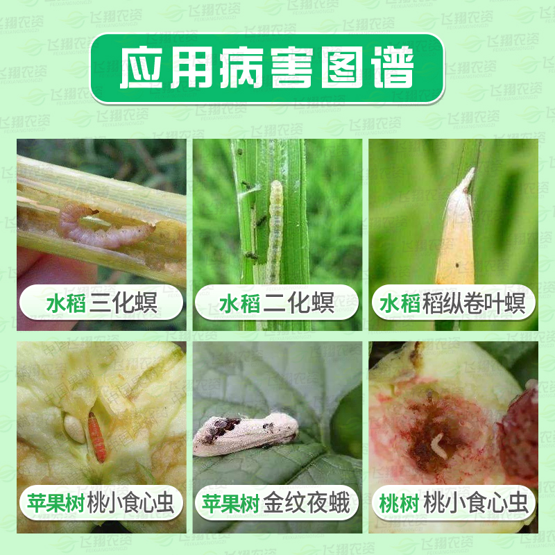 富美实奥得腾35%氯虫苯甲酰胺 水稻苹果钻心虫肉虫农药杀虫剂3g - 图0