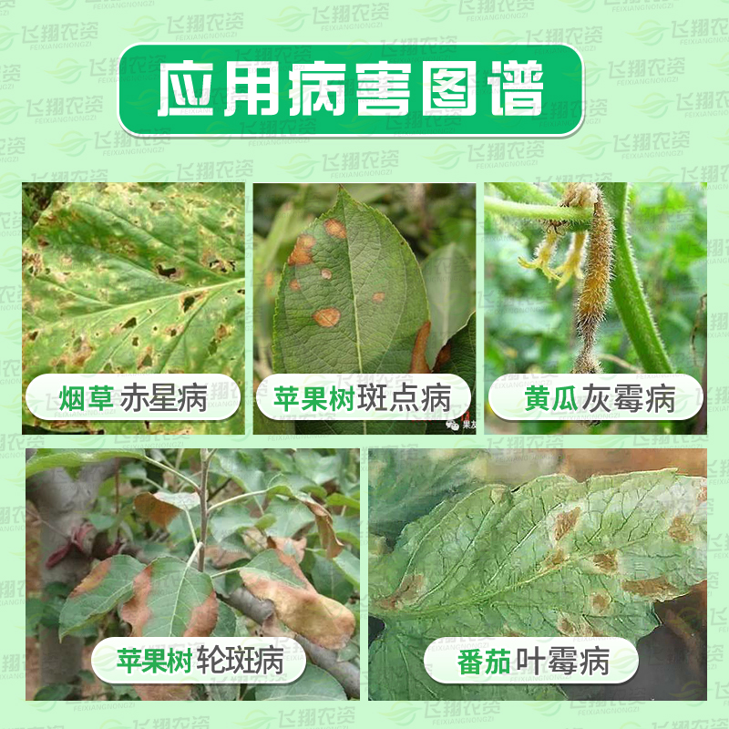 宝丽安10%多抗霉素番茄黄瓜叶霉病灰霉病斑点落叶病杀菌剂-图0