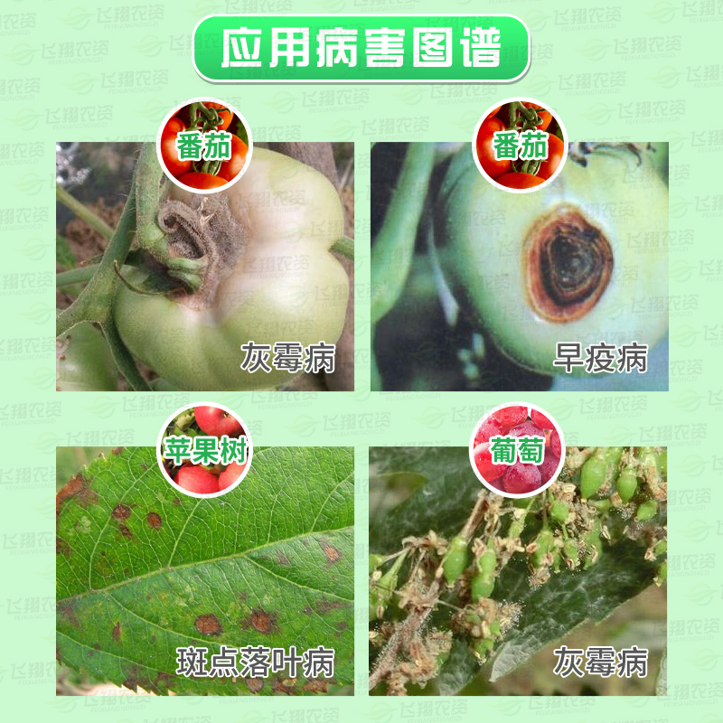 富美实扑海因异菌脲番茄葡萄黄瓜灰霉病菌核病早疫病农药杀菌剂-图0