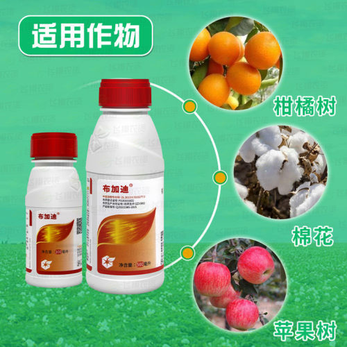 布加迪 30%乙唑螨腈 柑橘月季红蜘蛛叶螨茶黄螨农药杀虫杀螨剂 - 图1