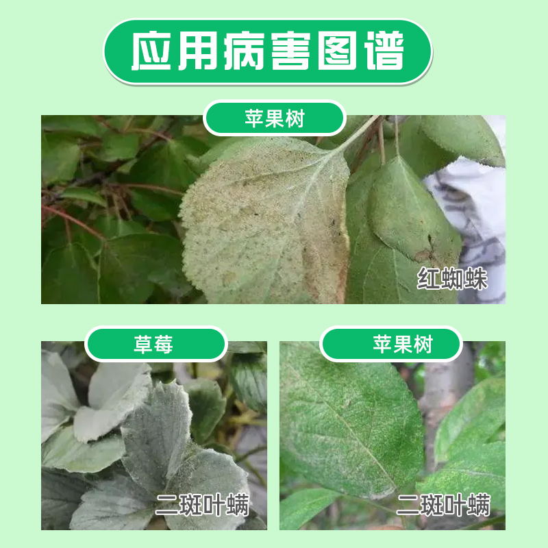 日产化学满肃静30%腈吡螨酯苹果红蜘蛛二斑叶螨杀虫农药杀螨剂-图0