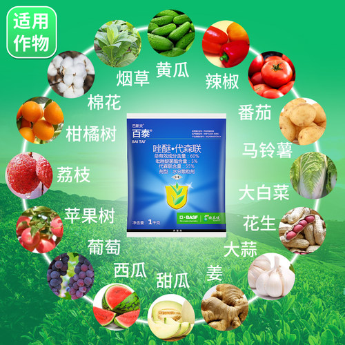 巴斯夫 百泰60%唑醚·代森联 黄瓜霜霉病疫病炭疽病农药杀菌剂 - 图1