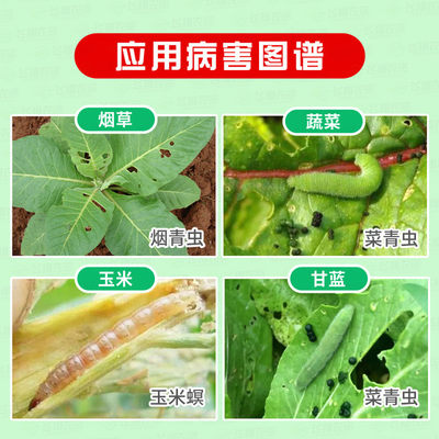 秀邦秋严一月无虫苏云金杆菌钻心虫菜青虫小菜蛾吊丝虫杀虫剂 虎窝淘