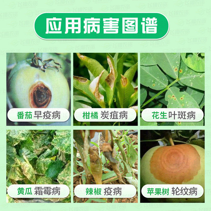 先正达大生m45金大生代森锰锌柑橘果树疫炭疽病农药杀菌剂,淘宝优惠券,粉丝福利购,淘宝优惠卷