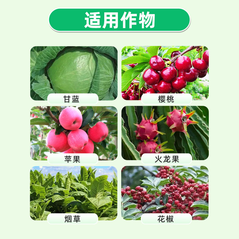 国光跟多甘蓝烟草苹果促生根壮根促吸收含氨基酸钙肥有机水溶肥料,淘宝优惠券,粉丝福利购,淘宝优惠卷