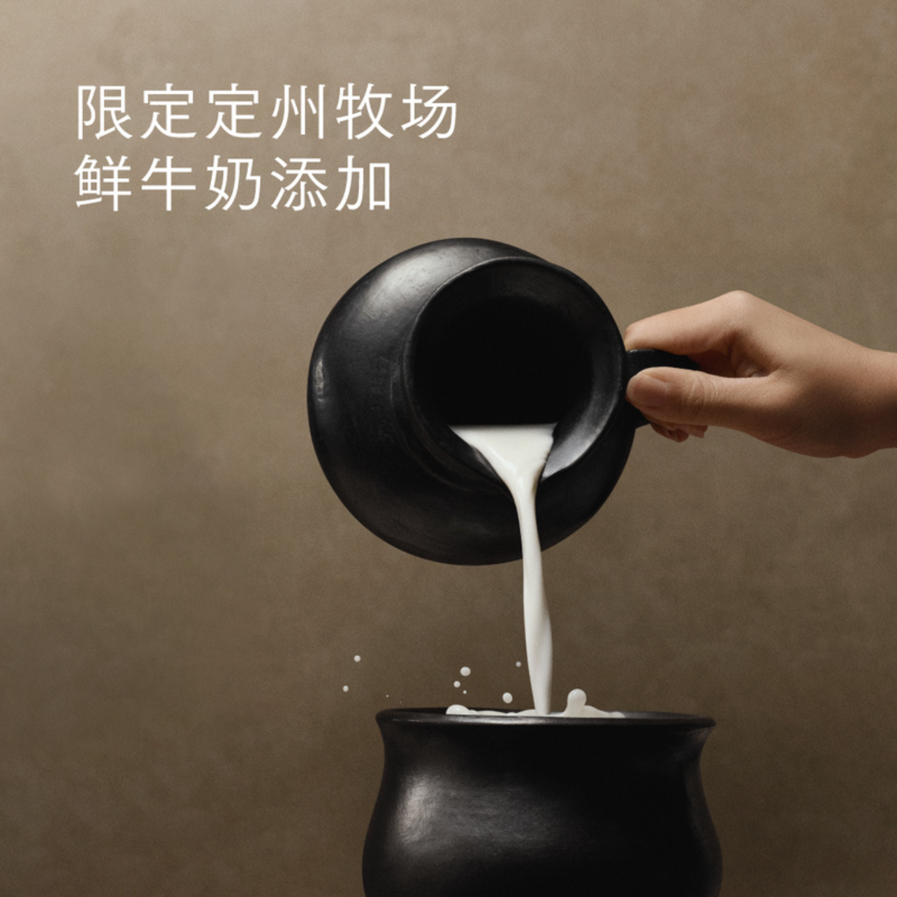 超市喜茶咸酪藏茶瓶装350ml年货礼盒黑茶牛乳奶茶代购下午茶0奶精,淘宝优惠券,粉丝福利购,淘宝优惠卷