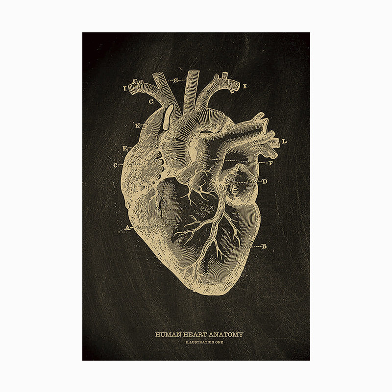 【人体医学结构图鉴】海报复古牛皮纸墙壁贴纸宿舍酒吧装饰画背景,淘宝优惠券,粉丝福利购,淘宝优惠卷