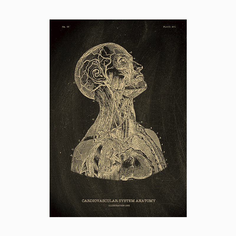 【人体医学结构图鉴】海报复古牛皮纸墙壁贴纸宿舍酒吧装饰画背景,淘宝优惠券,粉丝福利购,淘宝优惠卷