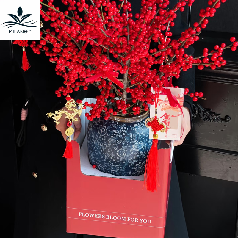 年宵花红果冬青盆栽手提盒蝴蝶兰新年鲜花包装盒折叠纸盒插花礼盒,淘宝优惠券,粉丝福利购,淘宝优惠卷