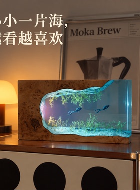 创意温馨纯手工海草溶洞潜水员桌搭摆氛围小夜床头灯生日送人礼物
