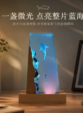 手工鲸鲨潜水员小夜氛围灯桌面