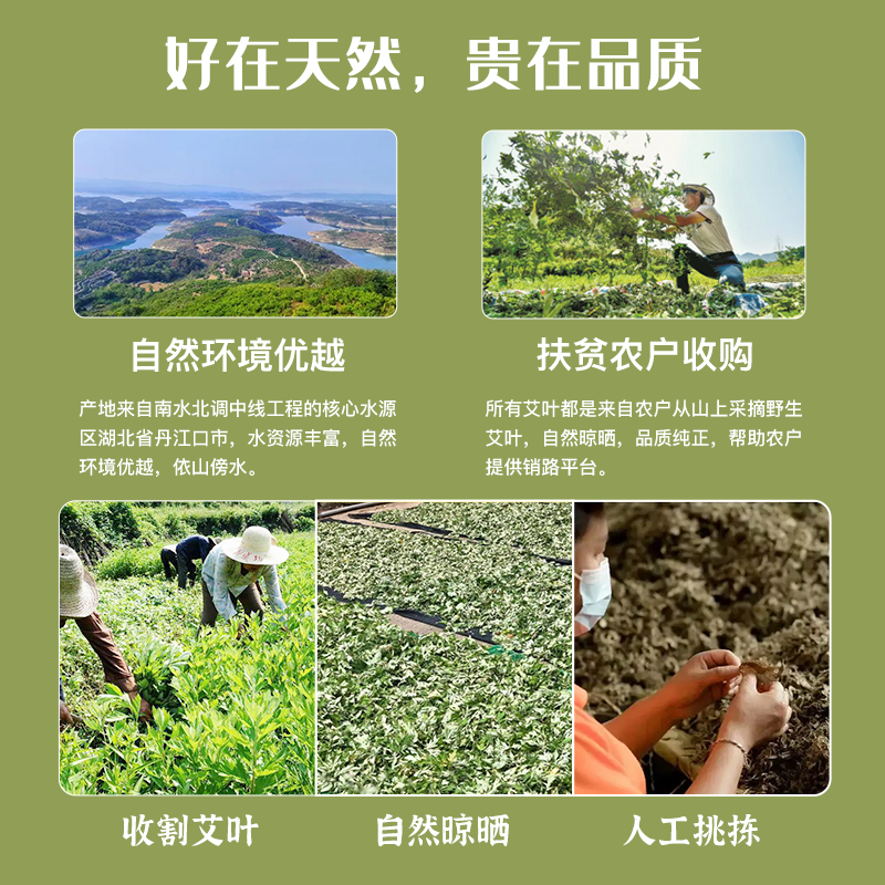 野生艾草干艾叶陈艾叶泡脚包去湿气月子产后泡澡包纯叶秋泽中药材 - 图2