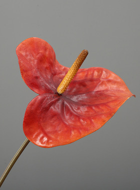 红掌仿真花单枝火鹤掌仿真花假花 家居摆件软装插花装饰花艺批发