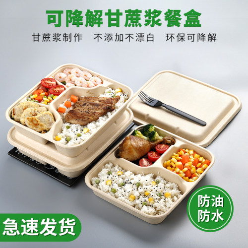 一次性四格打包盒可降解三/五/六格餐盒外卖快餐饭盒分格环保纸浆 - 图1