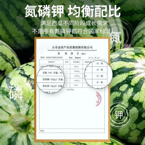 西瓜防裂果畸形微生物菌剂香瓜专用水溶肥保花保果抗病增产香甜 - 图3