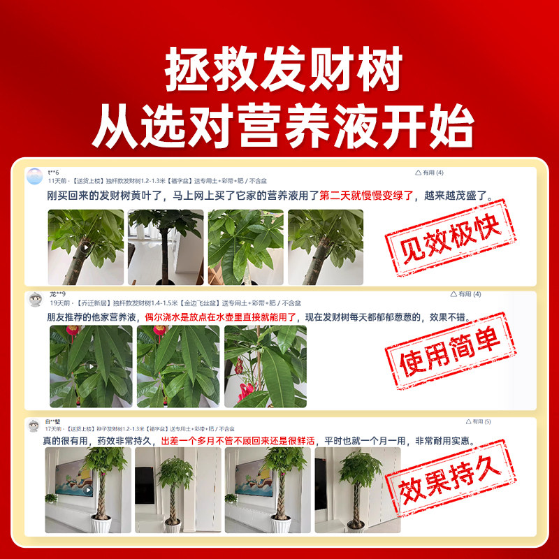 发财树专用肥专用营养液肥料稀释绿植植物室内盆栽家用通用型液体,淘宝优惠券,粉丝福利购,淘宝优惠卷
