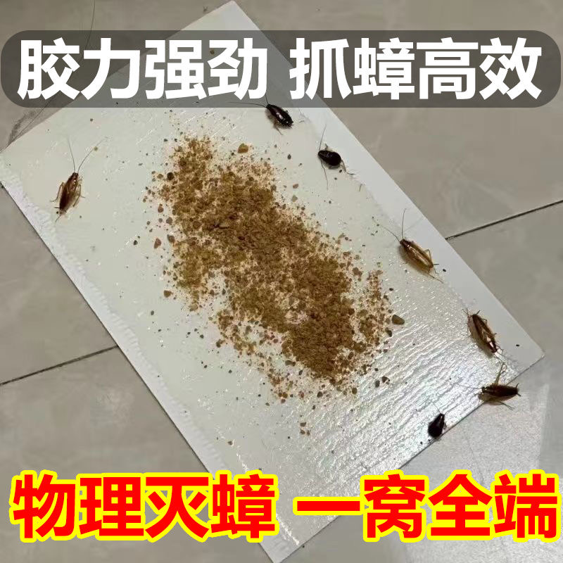 蟑螂屋强力贴粘板蟑螂药家用无毒一窝端全魔盒捕捉灭消杀除蟑螂夹 - 图0