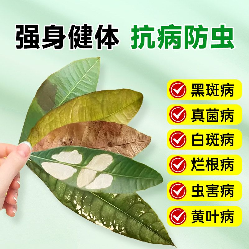 发财树专用肥专用营养液肥料稀释绿植植物室内盆栽家用通用型液体,淘宝优惠券,粉丝福利购,淘宝优惠卷