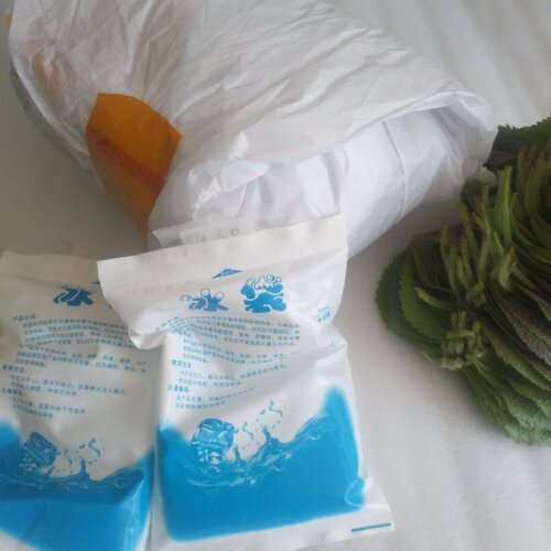 新鲜苏子叶每份500克包邮，拍2斤发顺丰，坏单包赔 - 图1