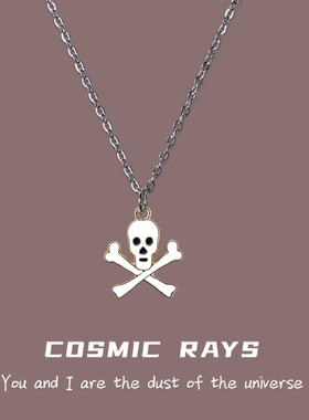 朋克风骷髅头十字架项链银色合金锁骨链小众设计感通用黑色吊坠