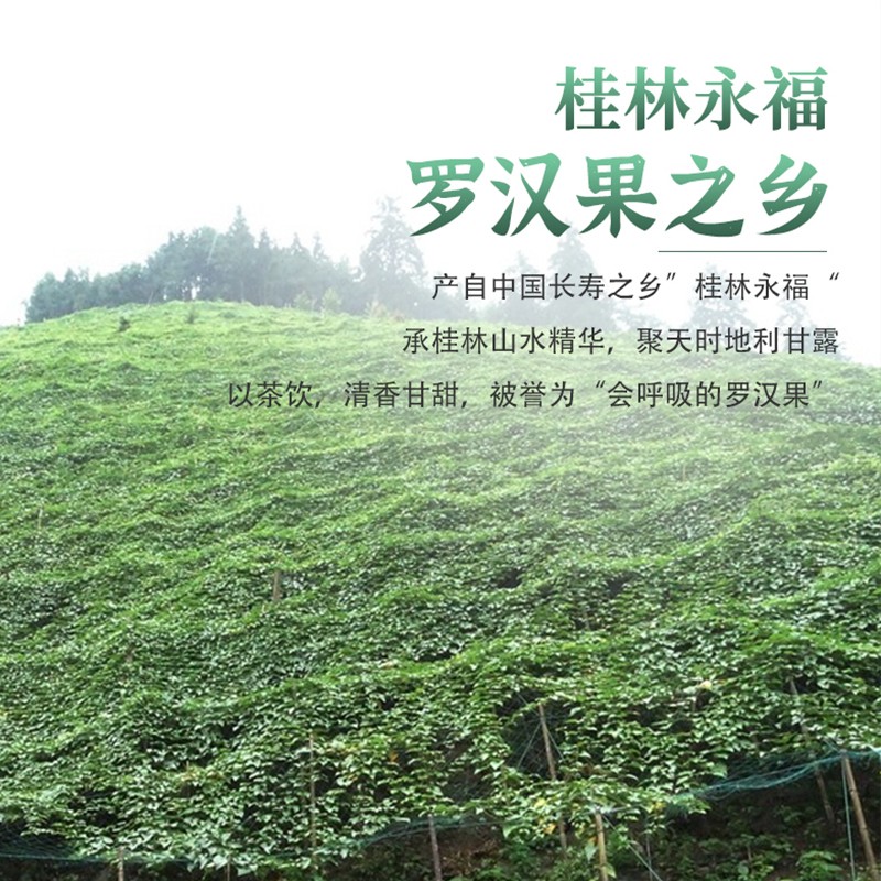 广西桂林特产永福正品罗汉果茉莉花茶玫瑰花茶益寿茶润喉养生茶 - 图3