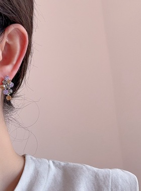 时尚轻奢高级感紫色锆石流苏耳钉女小众精致简约气质百搭耳环耳饰