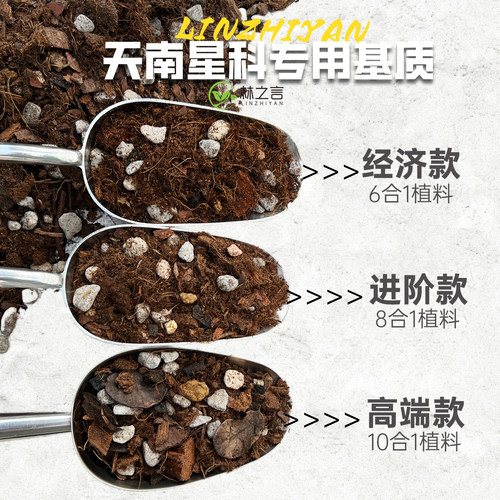 天南星科热植专用龟背竹营养土蔓绿绒海芋花烛泥炭土盆栽颗粒土壤 - 图2