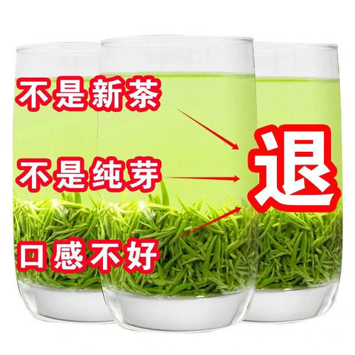 茶叶信阳毛尖2025新茶正宗明前优等嫩芽清香型毛尖绿茶  罐装250g - 图0