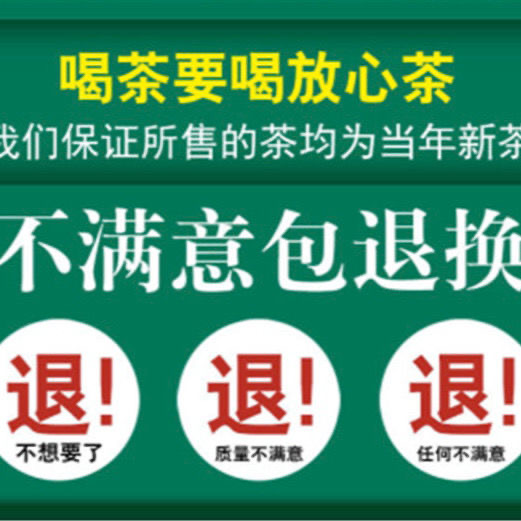 绿茶茶叶信阳毛尖2024新茶信阳绿茶浓香耐泡嫩芽云雾毛尖茶包运费-图0