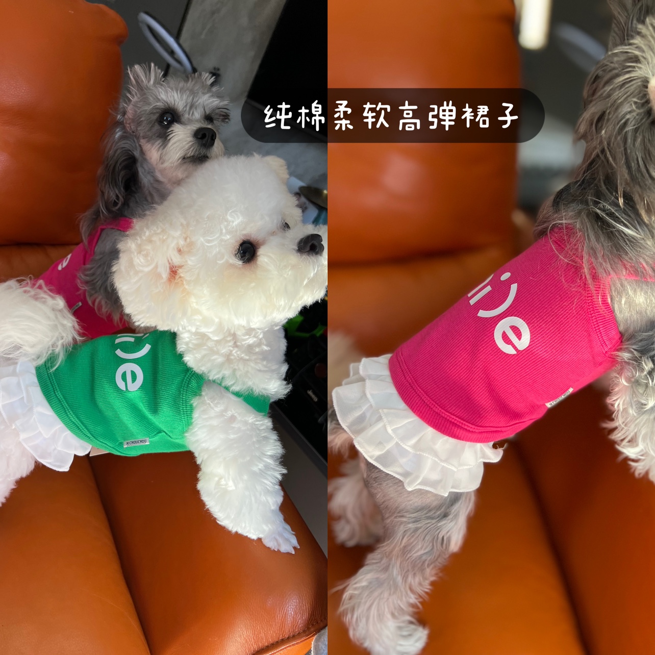 丑丑宠物春夏新款纯棉吊带裙背心狗狗衣服小型犬泰迪比熊-图1