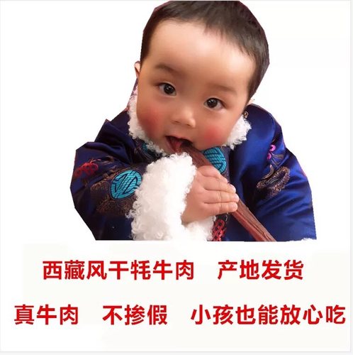藏林源 西藏特产风干牦牛肉干美食手撕风干耗牛肉干500克包邮 - 图3