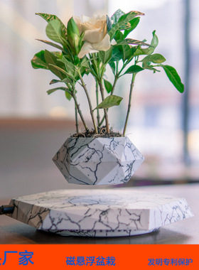 北欧现代简约磁悬浮大理石盆栽创意家居阳台商场酒店绿植花园