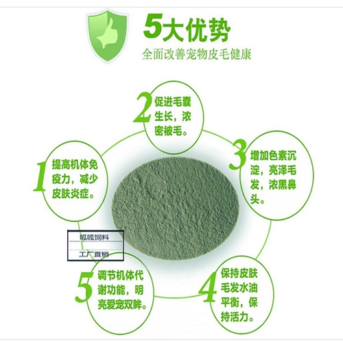 Морские водоросли кожа кожа плюшевые