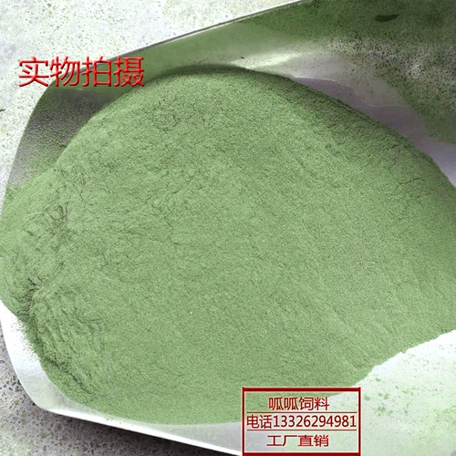 Морские водоросли кожа кожа плюшевые