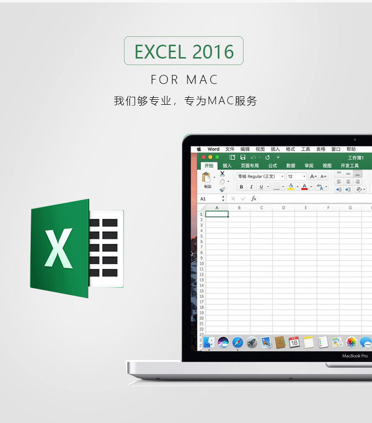 苹果笔记本电脑office mac 办公软件word excel ppt安装服务2019 - 图0