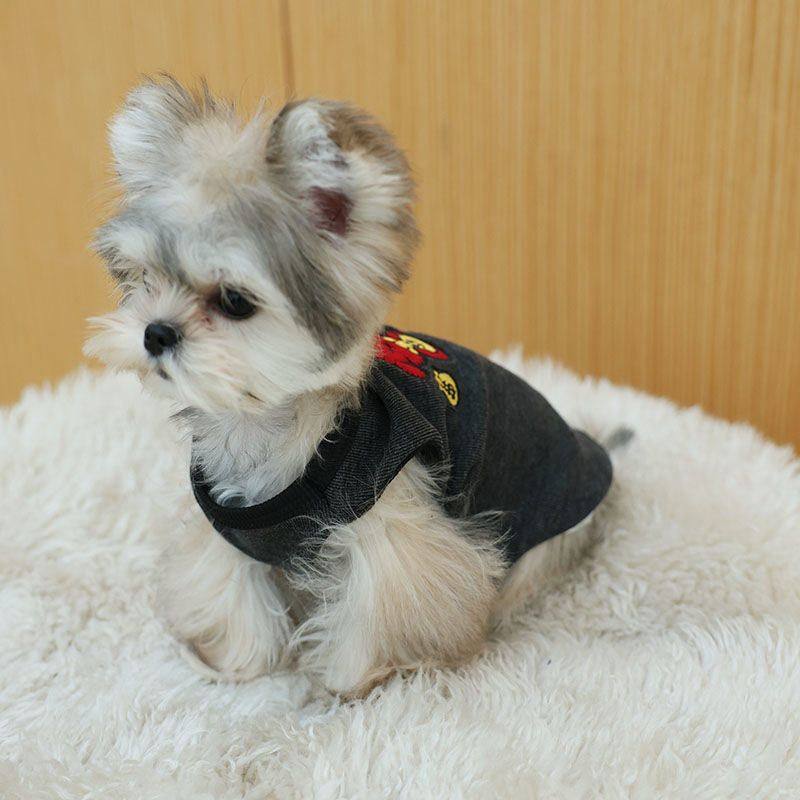 春秋季时尚新款宠物狗狗纯色衣服泰迪比熊中小型犬舒适气质背心潮,淘宝优惠券,粉丝福利购,淘宝优惠卷
