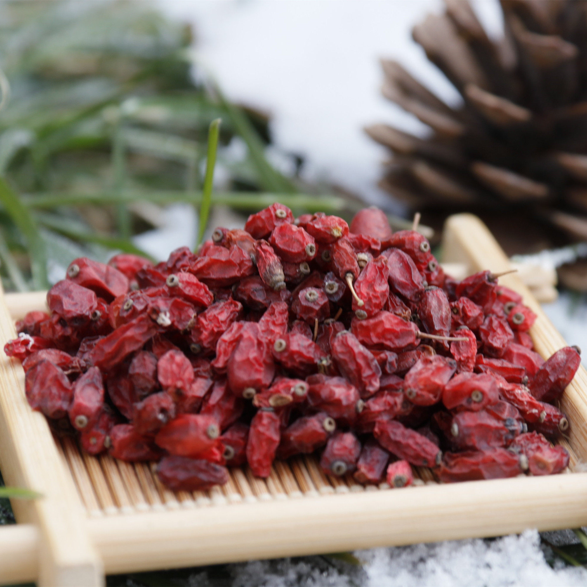 东北特产黑龙江伊春林区野枸杞子小红枸杞干货三颗针籽250g包邮