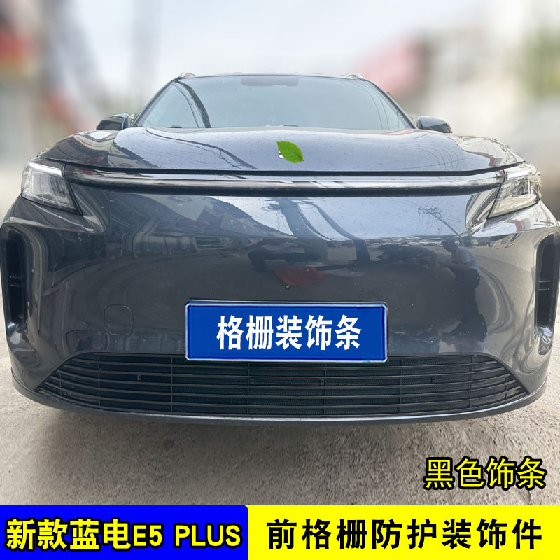蓝电E5plus中网外观改装防虫网前格栅专用防护网装饰汽车用品配件