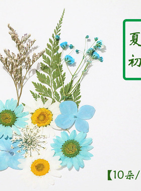 10朵迷你小包干花材料化妆手工