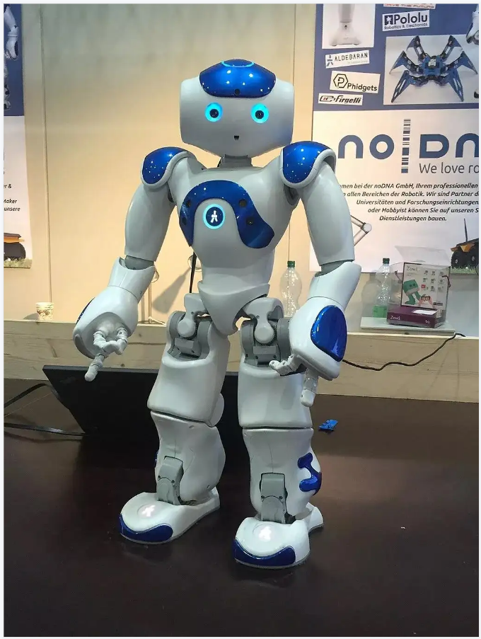 软银Aldebaran Robotics Nao人形机器人 可编程二次开发V6版本 - 图1