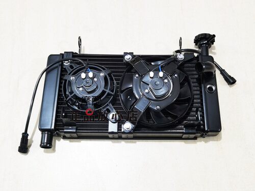 正品QJ600GS-3B赛600追600仿赛摩托车水箱总成冷却水箱散热器 - 图0