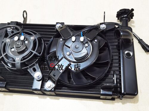 正品QJ600GS-3B赛600追600仿赛摩托车水箱总成冷却水箱散热器 - 图2