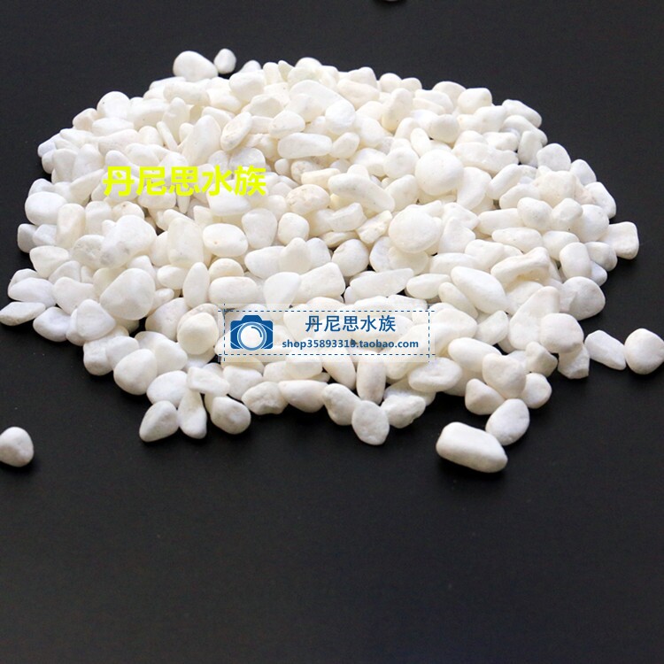 小白石子鱼缸造景白沙底砂水族底沙鱼缸白砂花盆装饰白玉石包邮 丹尼思水族 淘优券 小白石子鱼缸造景白沙底砂水族底沙鱼缸白砂花盆装饰白玉石包邮 丹尼思水族 淘优券