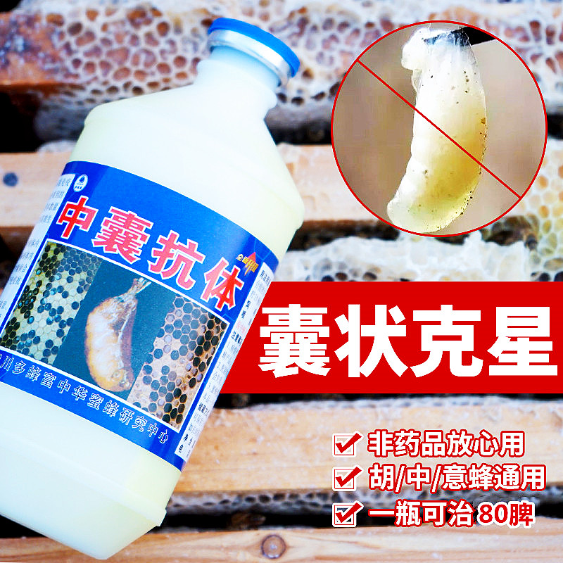 中囊抗体中蜂烂子病蜜蜂囊状幼虫病烂子灵专用蜂药500ml养蜂工具