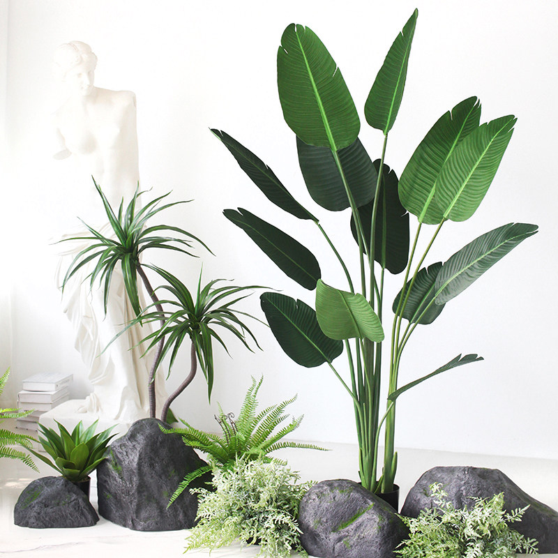 室内绿植景观图片大全,室内植物景观图片,室内绿植图片_大山谷图库