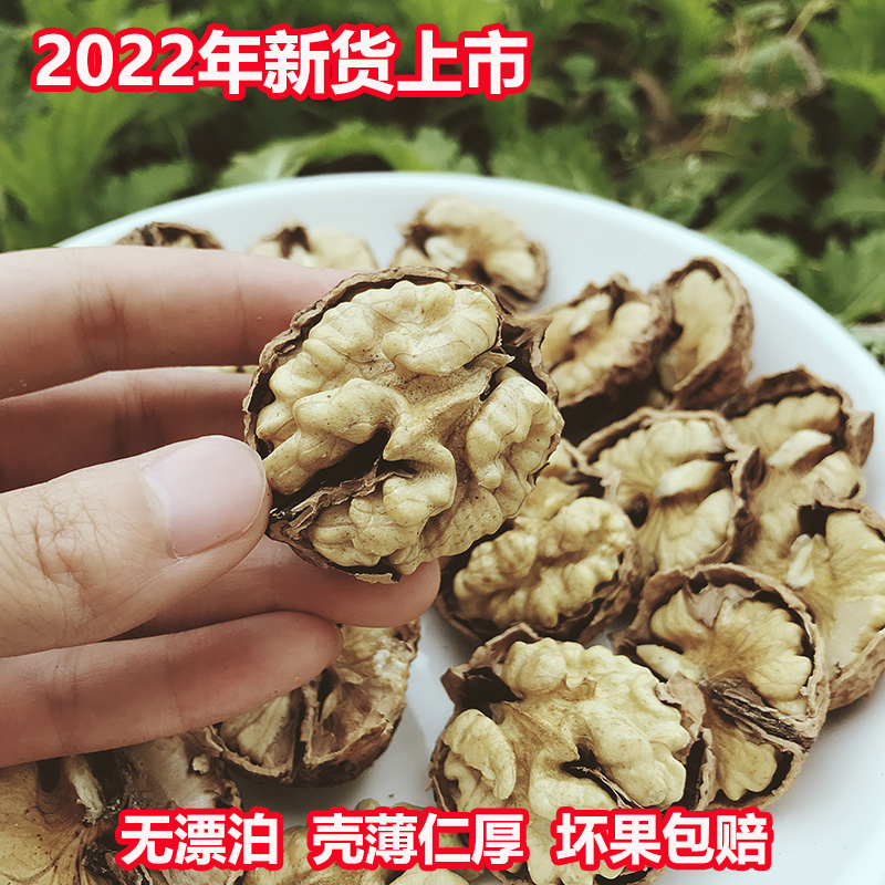 云南纸皮核桃2023新货优质薄壳大果野生新鲜坚果孕妇山核桃包邮 - 图0