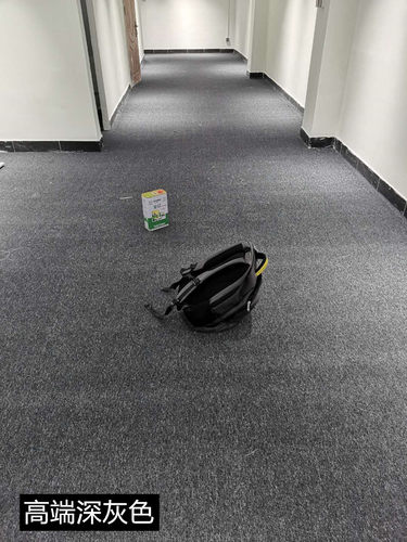 拍照背景地毯直播间通用办公室台球厅工程灰色满铺定制加绒加密毯 - 图1